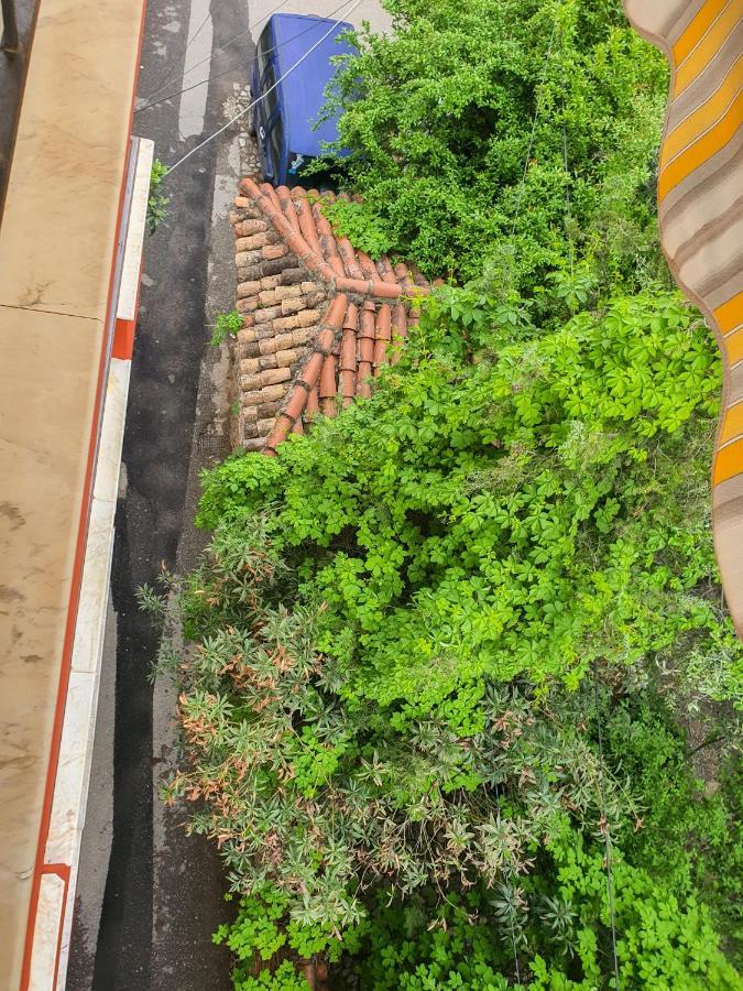 Vila Kodra Tirana Zewnętrze zdjęcie