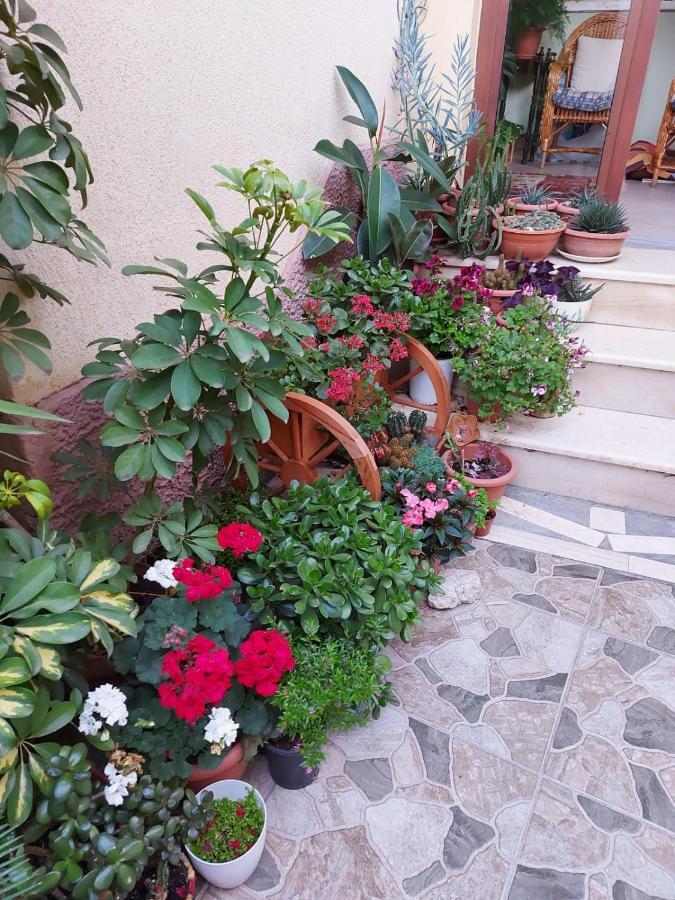 Vila Kodra Tirana Zewnętrze zdjęcie