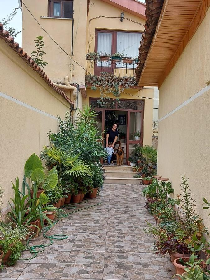 Vila Kodra Tirana Zewnętrze zdjęcie